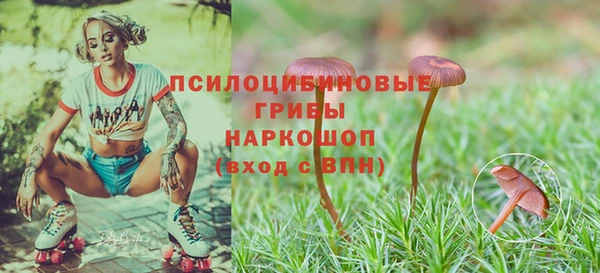 2c-b Кодинск