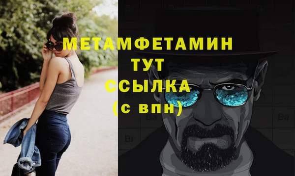 крисы Корсаков